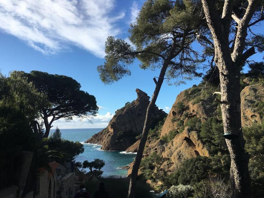 Le Diffonty Cosy Vintage Centre Historique Apartment La Ciotat Luaran gambar